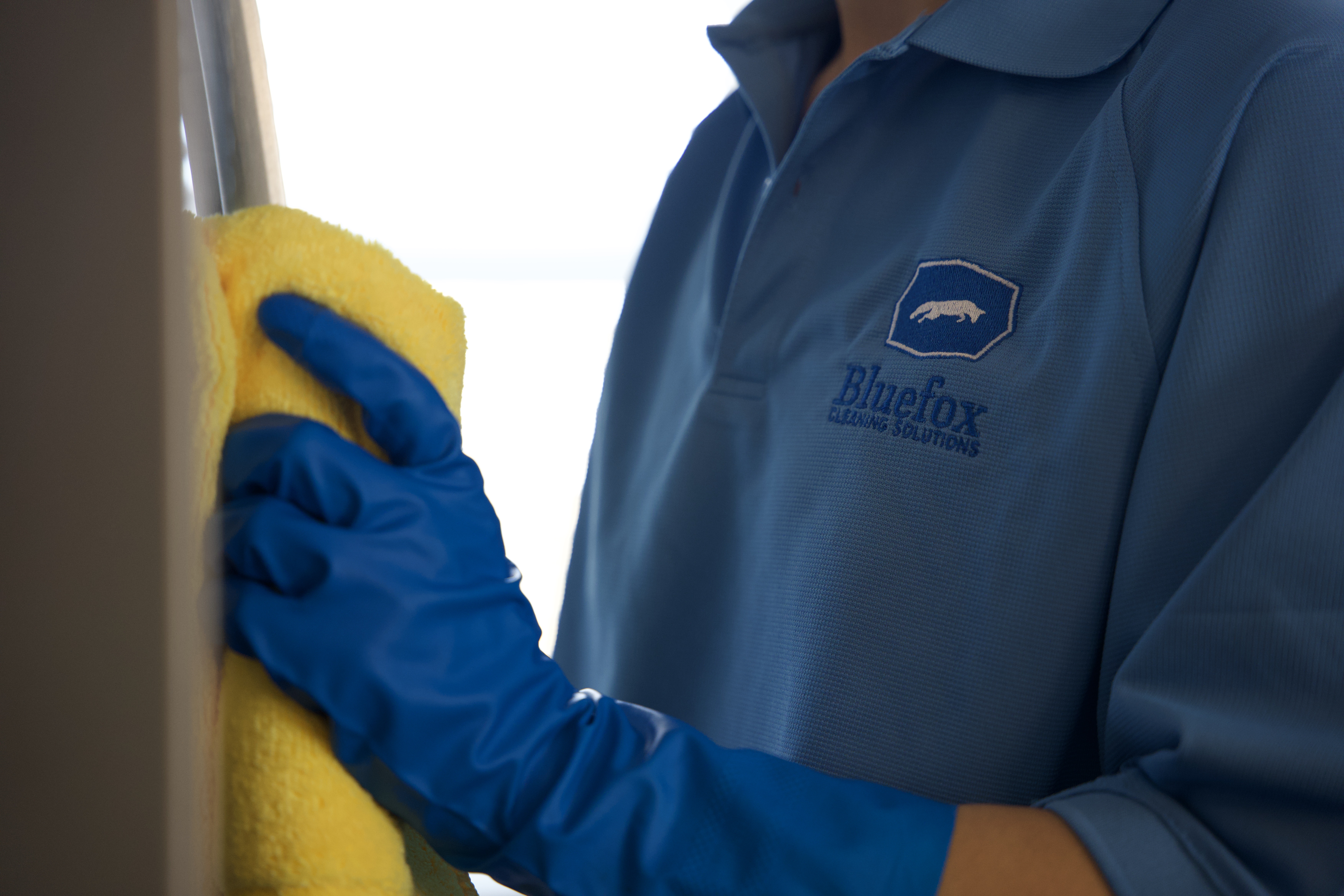 Cleaning Services